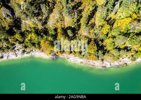 Drone aerial autumn forest next to Lake Sylvenstein. Trees and water, Top Shot. Bavaria, Alps Stock Photo