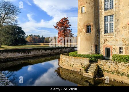 France, Loiret, La Bussiere, Chateau de La Bussiere Park and Gardens, castle facade, pond and bald cypress (Taxodium distichum) in autumn // France, L Stock Photo