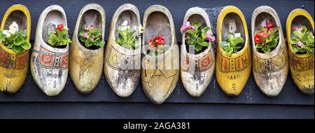 Panoramic shot of beautiful flowers in clog shoes on a gray surface Stock Photo