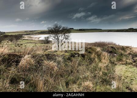 The rugged bleak moorland around Colliford Lake on Bodmin Moor in Cornwall. Stock Photo