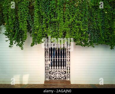 An elegant wrought iron, decorative gateway to a house in Nerja, with trailing jasmine falling from the wall. Nerja, Andalusia, Spain. Stock Photo