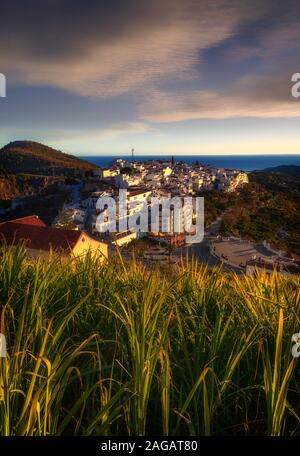 Sugar Cane growing above the new part of the White Village of Frigiliana in typical Andalucían style, province of Malaga, Andalusia, Spain Stock Photo