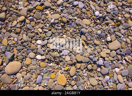 A background of smooth, sea-warn pebbles in natural colors of beige and sandstone Stock Photo