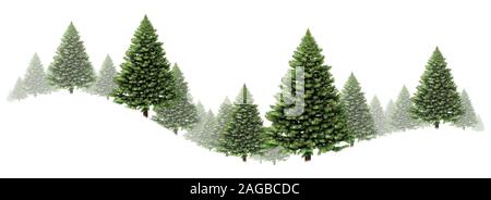 Pine tree swirl winter border design with a group of green Christmas trees on a white background as a festive evergreen forest element with fog. Stock Photo