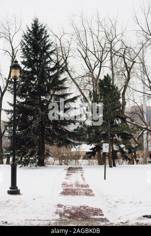 Vertical shot of a stone path in the park covered with snow on a cold winter day Stock Photo