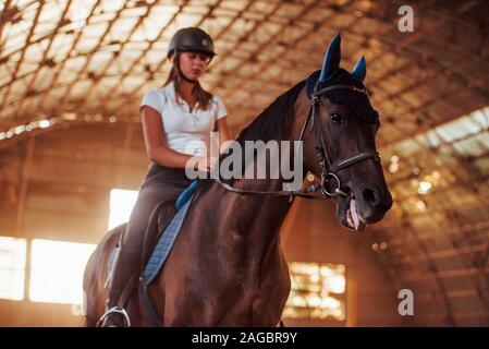 Majestic image of horse silhouette with rider on sunset background. The girl jockey on the back of a stallion rides in a hangar on a farm Stock Photo