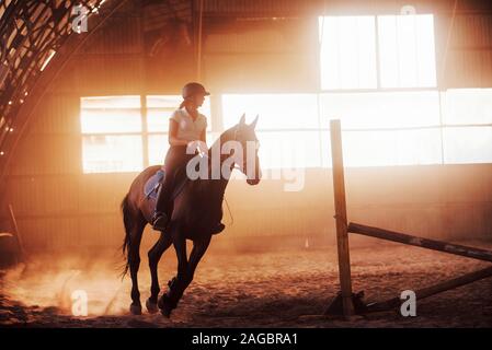 Majestic image of horse silhouette with rider on sunset background. The girl jockey on the back of a stallion rides in a hangar on a farm Stock Photo