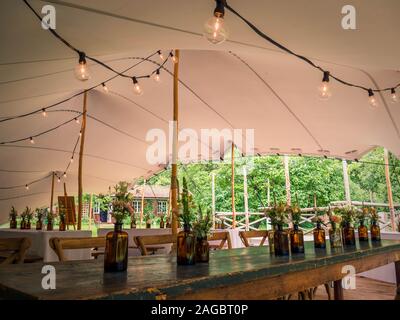 Image of modern wedding decoration with flowers in brown bottels and blurry lights in the background Stock Photo
