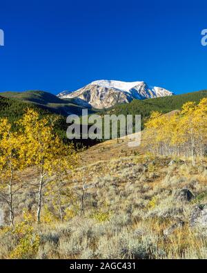 autumn aspen in a meadow below hollow top mountain in the tobacco root range near pony, montana Stock Photo