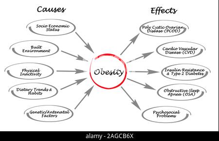 Obesity: causes and effects Stock Photo