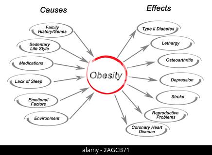 Obesity: Causes and Effects Stock Photo