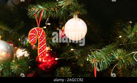 Red christmas cane cookie decorated with sweet white sugar icing. Christmas tree decorated with ginger sweets, cookies and balls. Festive background b Stock Photo