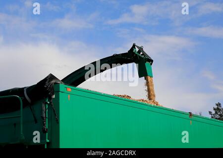 Mobile wood chipper in action chipping and loading woodchip onto green trailer. Background of blue sky and white clouds, copy space top of image. Stock Photo