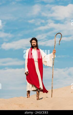 handsome bearded man holding wooden cane and walking in desert against sky Stock Photo