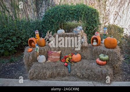 Old Theater Park in Alachua, Florida, decorated for the Fall Season. Stock Photo