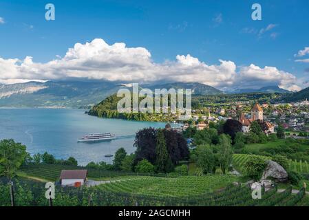Castle Spiez on Lake Thun, Spiez, Bernese Oberland, Switzerland Stock Photo