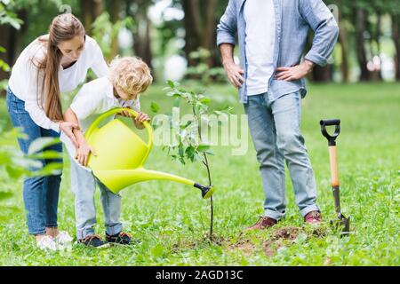 mother helping son watering seedling in park near father Stock Photo