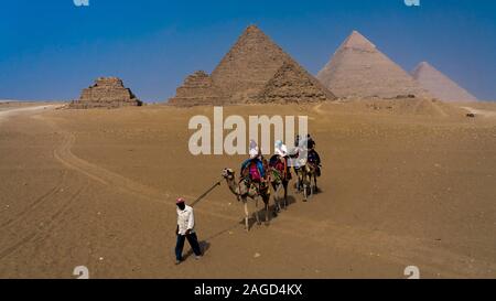 NOVEMBER 2019, CAIRO EGYPT, Camel in front of Great Pyramids of Giza, Cairo Stock Photo