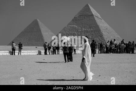 NOVEMBER 2019, CAIRO EGYPT, Camel in front of Great Pyramids of Giza, Cairo, with tourists and Moslem people Stock Photo