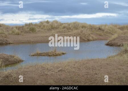 Kinshaldy Beach, Tentsmuir Forest, Leuchars, Fife, Scotland, December ...