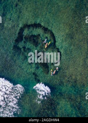 Aerial view of surfers in the ocean Stock Photo