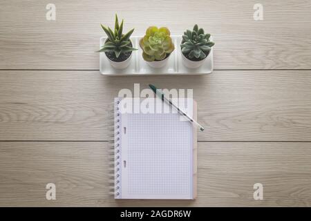 High angle shot of three cactus plants and a notebook with a pen on a wooden surface Stock Photo