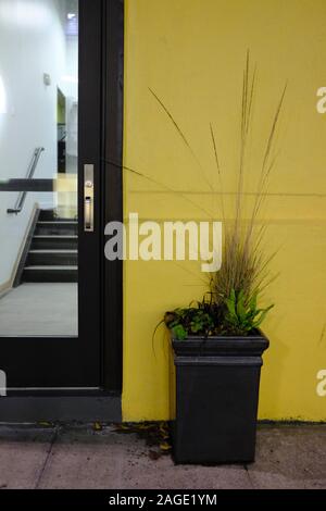 PORTLAND, UNITED STATES - Nov 23, 2019: A vertical shot of a flower pot by the entrance of a building with yellow walls Stock Photo