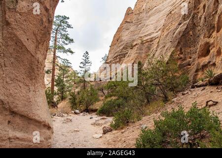 Kasha Katuwe Tent Rocks National Monument is a scenic cone shaped formations, composed of pumice, ash, and tuff deposits from volcanic eruptions 6 or Stock Photo