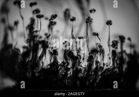 Greyscale shot of beautiful patterns formed from the black smoke Stock Photo