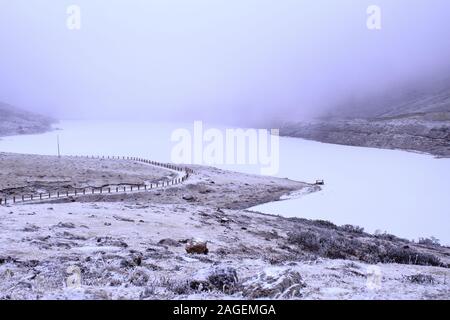 scenic frosty landscape of sela lake in winter at sela pass near tawang hill station in arunachal pradesh, india