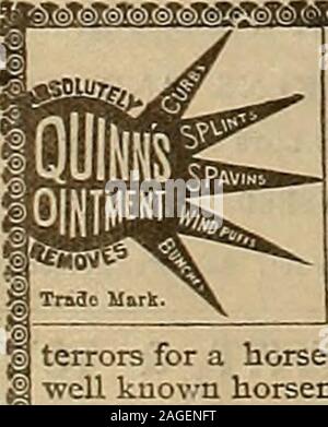 . Breeder and sportsman. THE BAYWOOD STUD THE BUNGALOW, SAN MATEO, CAL (Property of John Parrott, Esq.) Imp. Hackney Stallion GREENS RUFUS«» ?«» Will serve a limited number of Approved Mares, Season 1903 FEE ... $75 Reductions made for two or more mares. Manager, WALTER 8EALY.. QUINNS OINTMENT! FOR HORSES stands at the head of all veterinary remedies. Such troubles tas Spavins, Curbs, Windpuffs, Splints, Bunches have no f terrors for a horse if the master keeps and applies Qu-inns Ointment. All | ?well known horsemen speak of it in the highest terms: Miller & Sibley of Franklin, Pa., owners of Stock Photo