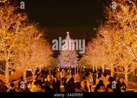 Christmas illuminations are seen at Yebisu Garden Place in Tokyo, Japan on December 13, 2019. (Photo by Shingo Tosha/AFLO) Stock Photo