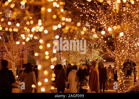 Christmas illuminations are seen at Yebisu Garden Place in Tokyo, Japan on December 13, 2019. (Photo by Shingo Tosha/AFLO) Stock Photo