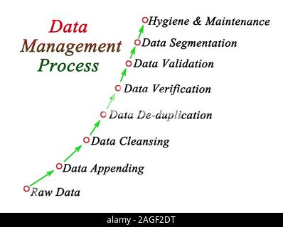 Components of Data Management Process Stock Photo