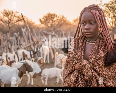 Rural Namibia - Aug. 22, 2016. A Himba woman, wearing her traditional tribal hairstyle and jewelry, stands beside a herd of goats in her village. Stock Photo