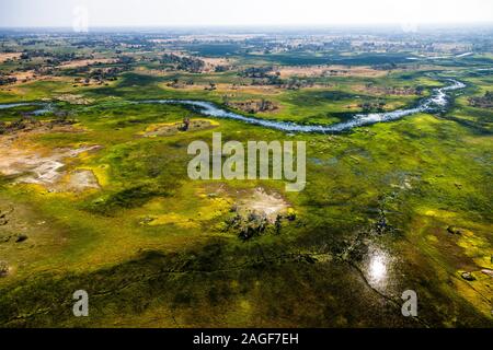 Green swamp and wetlands, grasslands, river, aerial view of Okavango delta, by helicopter, Botswana, Southern Africa, Africa Stock Photo