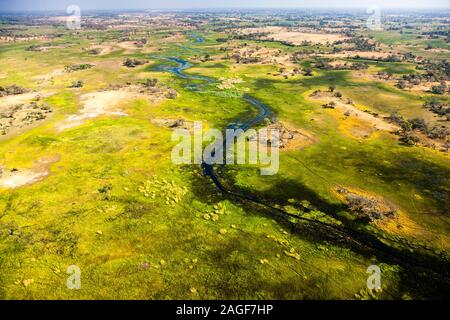 Green swamp and wetlands, grasslands, river, aerial view of Okavango delta, by helicopter, Botswana, Southern Africa, Africa Stock Photo