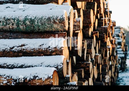 pile of logs covered in snow outside at sunset Stock Photo