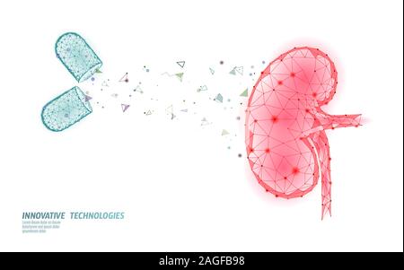 Human kidneys medicine treatment concept. Medical help therapy treatment. Urinary system cancer abdomen prevention poster template. Drugstore pill 3D Stock Vector