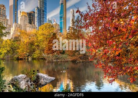 Fall foliage, Central Park, Manhattan, New York, USA Stock Photo