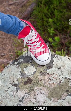 bright coloured converse