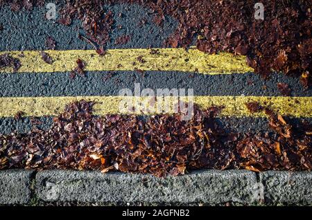 Brown autumn leaves on a road surface with double yellow road markings. Stock Photo