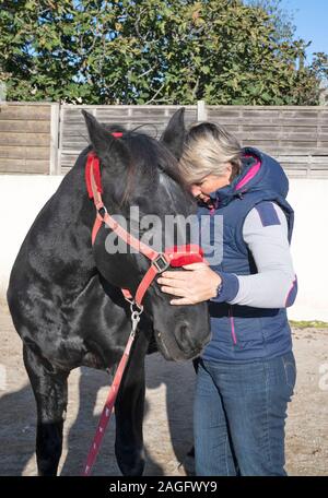 osteopath and horse for an alternative medicine Stock Photo