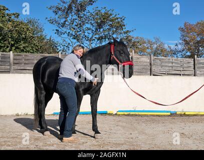 osteopath and horse for an alternative medicine Stock Photo