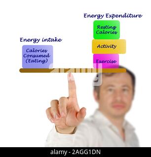 Balance between Energy intake and Energy expenditure Stock Photo