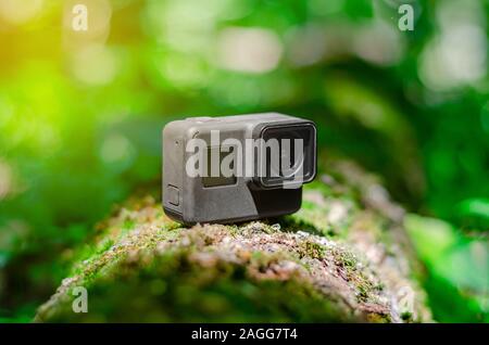 Action camera on a log in the forest. Stock Photo