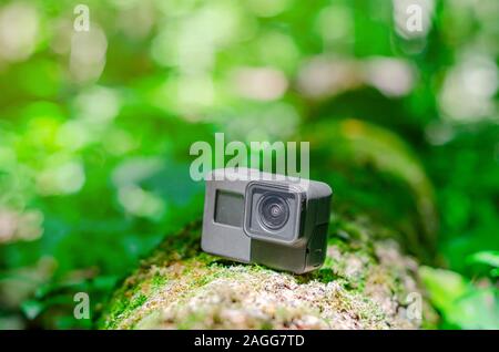 Action camera on a log in the forest. Stock Photo