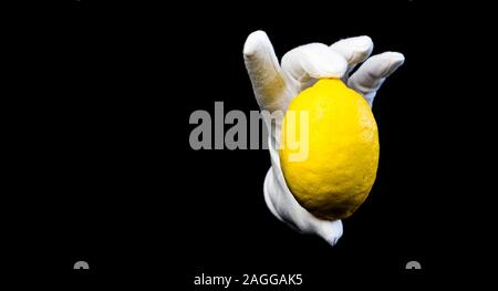 Seasonal fruits. Ripe yellow lemon on black background. Hand dressed in white glove. Stock Photo