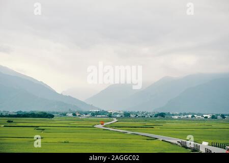 Paddy field, Chi Shang, Taiwan Stock Photo