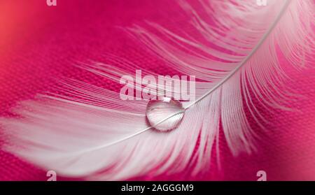 White bird feather on water drop, pink fabric background with bokeh lights Stock Photo